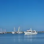 Strandkrabbe