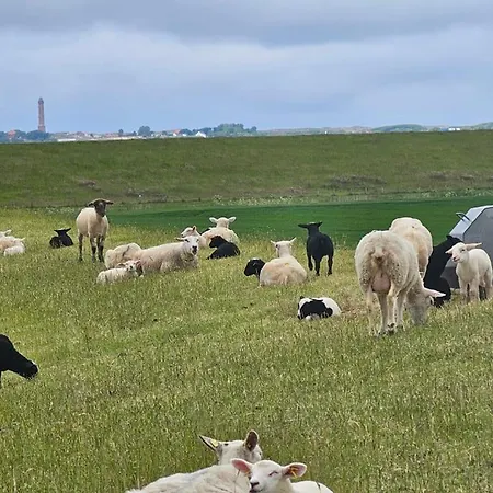 Сasa de vacaciones Strandkrabbe