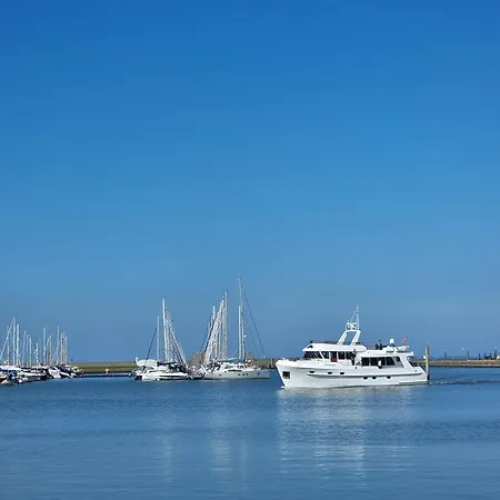 Strandkrabbe