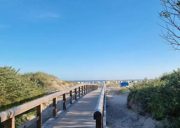 Strandkrabbe